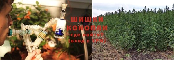 apvp Аркадак