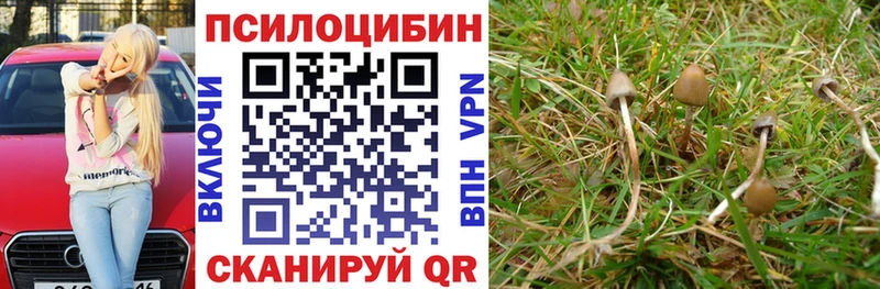 Псилоцибиновые грибы мицелий  наркота  Макарьев 