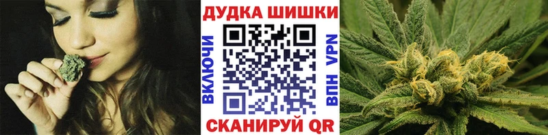 купить наркоту  Макарьев  Шишки марихуана план 